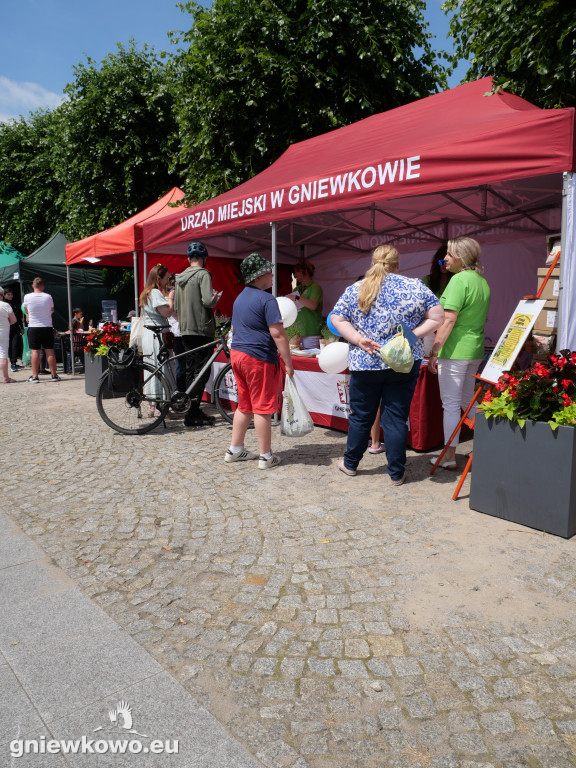 Dni Gniewkowo 2025 – VI Piknik Ekologiczny