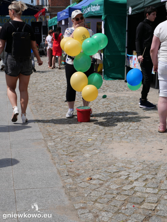 Dni Gniewkowo 2025 – VI Piknik Ekologiczny