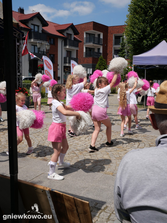 Dni Gniewkowo 2025 – VI Piknik Ekologiczny