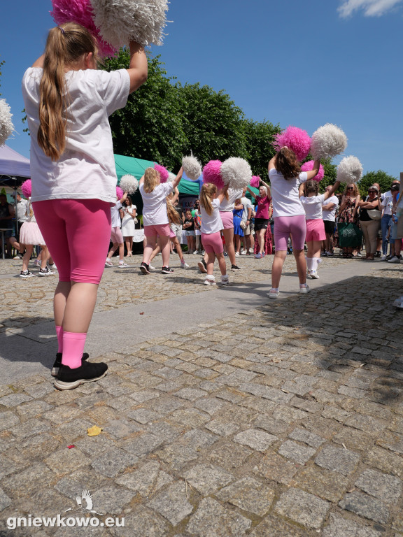 Dni Gniewkowo 2025 – VI Piknik Ekologiczny