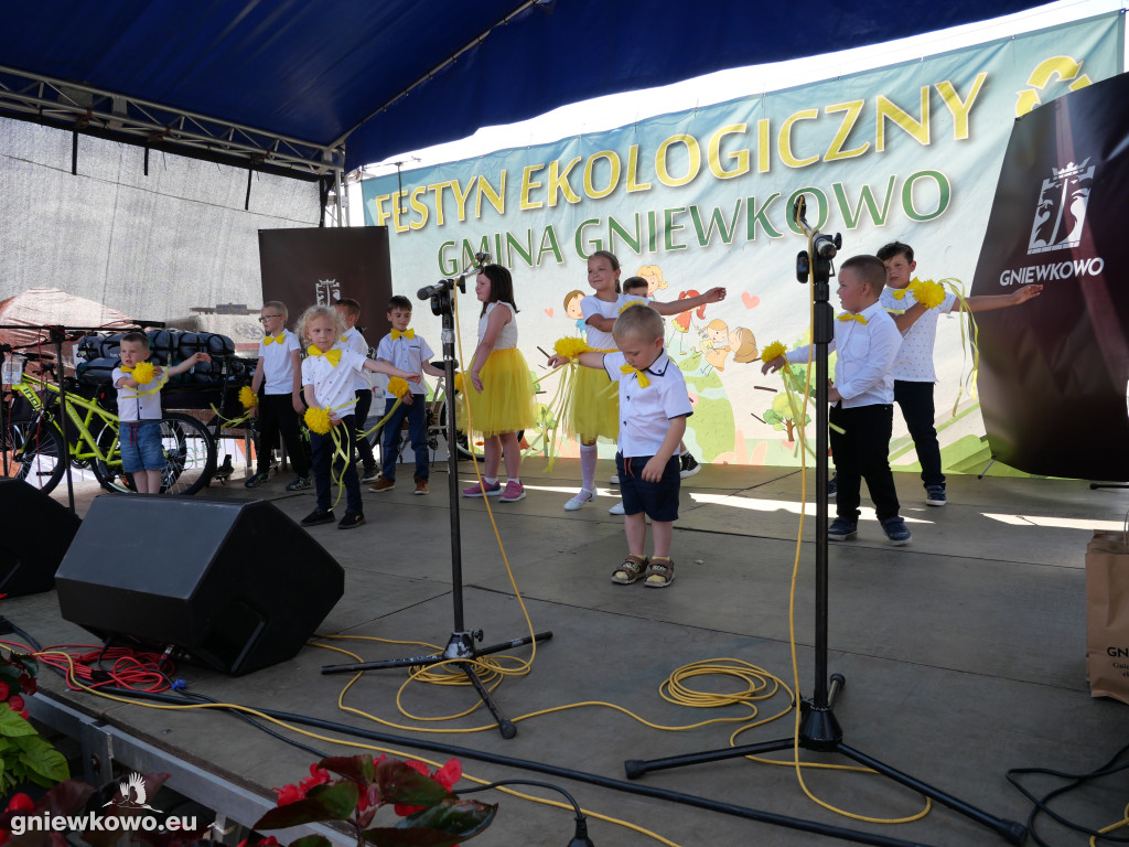 Dni Gniewkowo 2025 – VI Piknik Ekologiczny