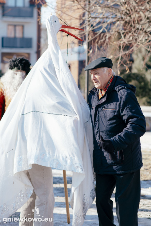 Koza opanowała Gniewkowo