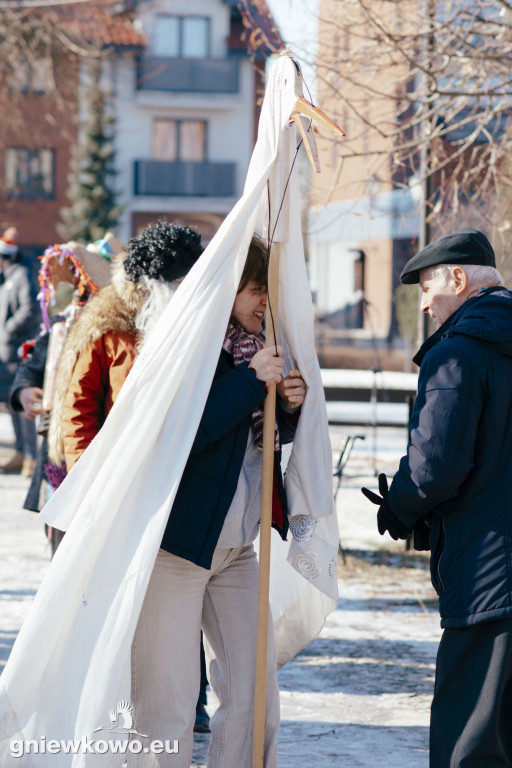 Koza opanowała Gniewkowo