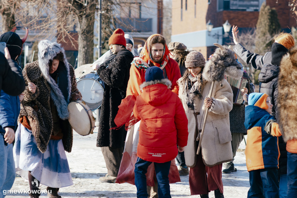 Koza opanowała Gniewkowo