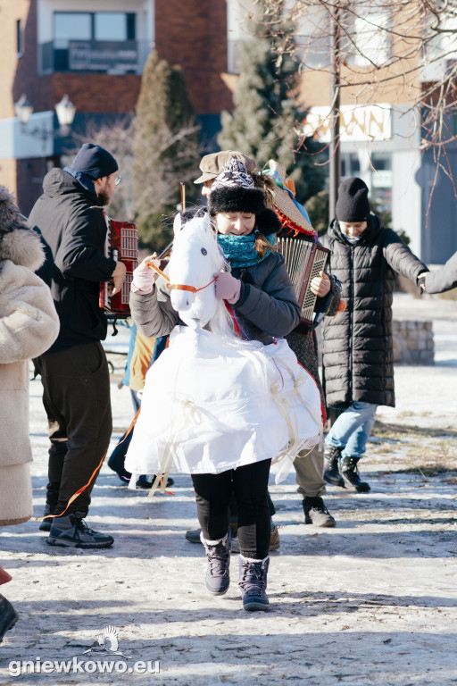 Koza opanowała Gniewkowo