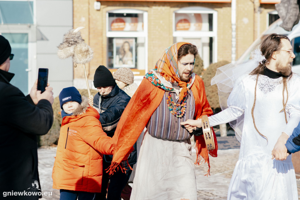 Koza opanowała Gniewkowo