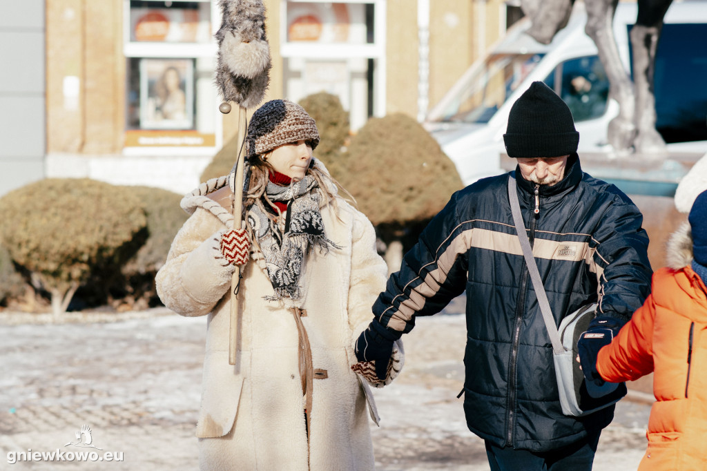 Koza opanowała Gniewkowo