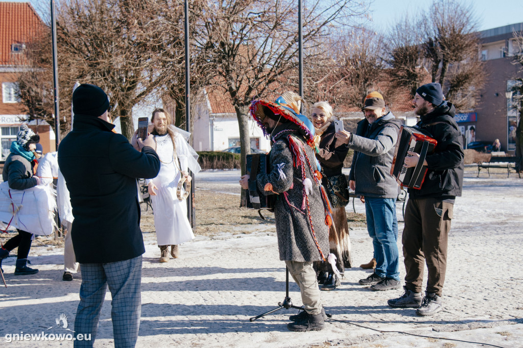 Koza opanowała Gniewkowo