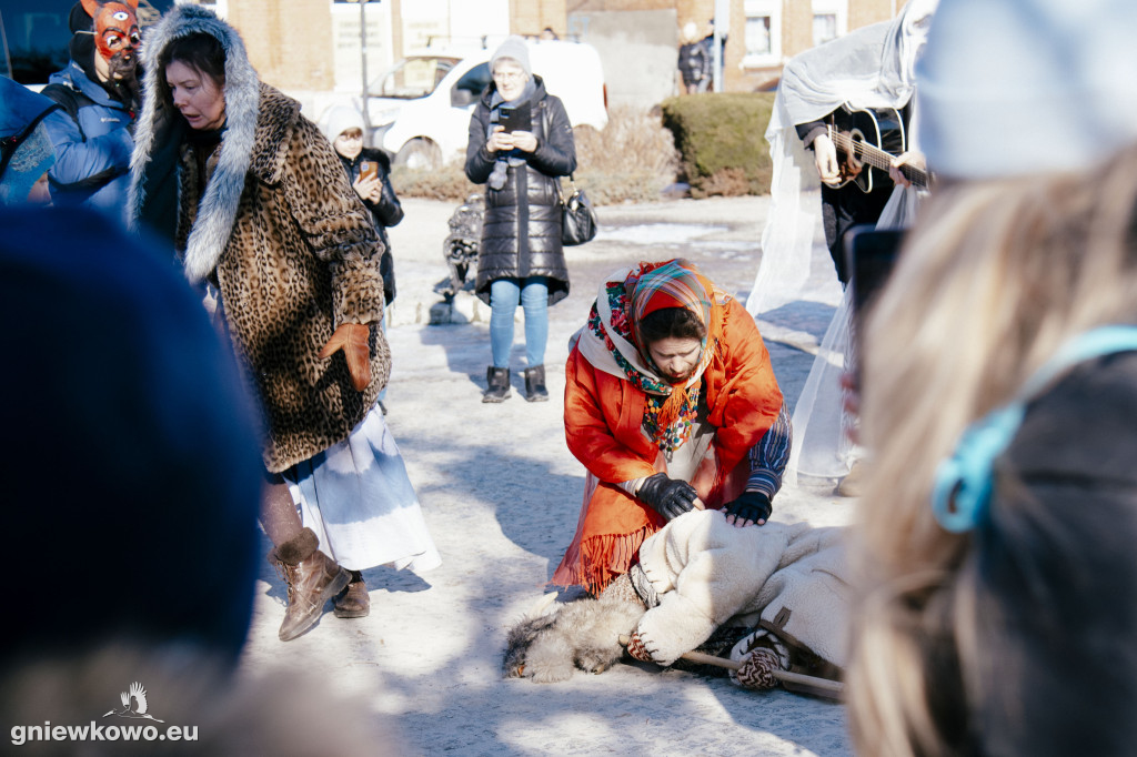 Koza opanowała Gniewkowo