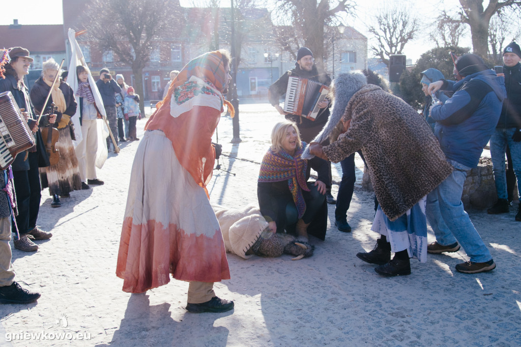 Koza opanowała Gniewkowo