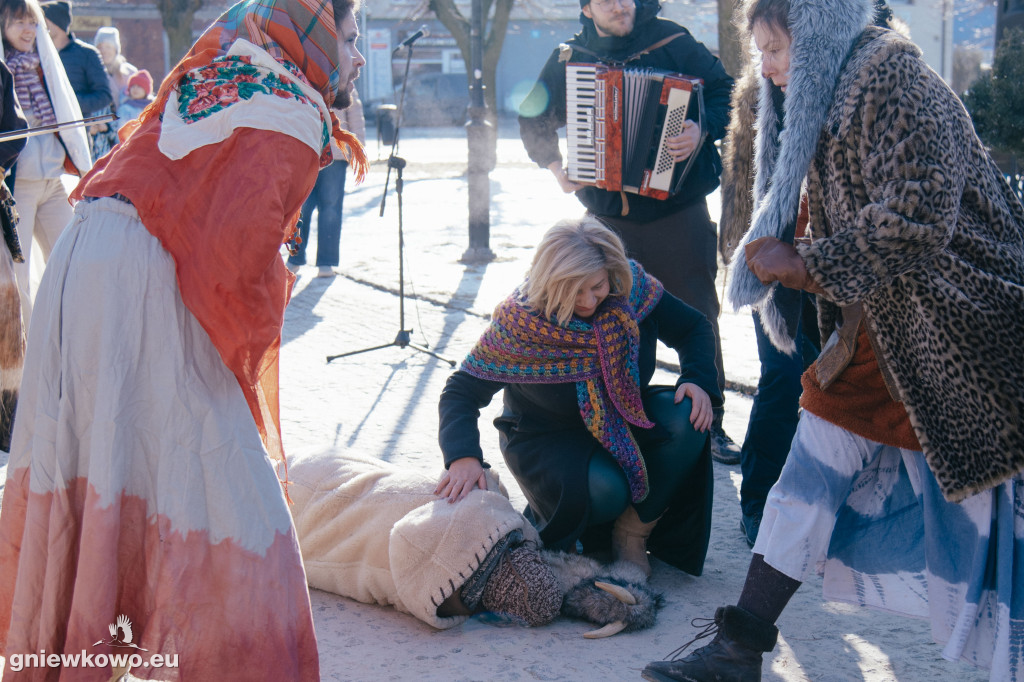 Koza opanowała Gniewkowo