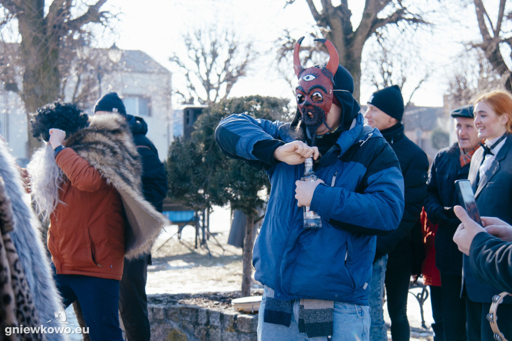 Koza opanowała Gniewkowo