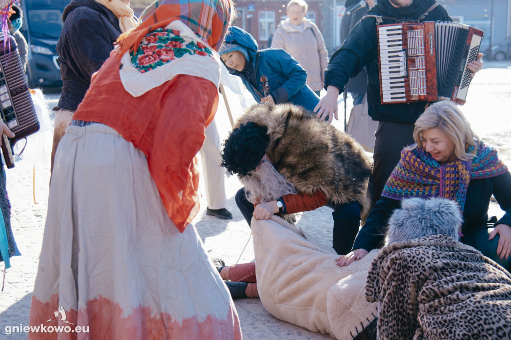 Koza opanowała Gniewkowo
