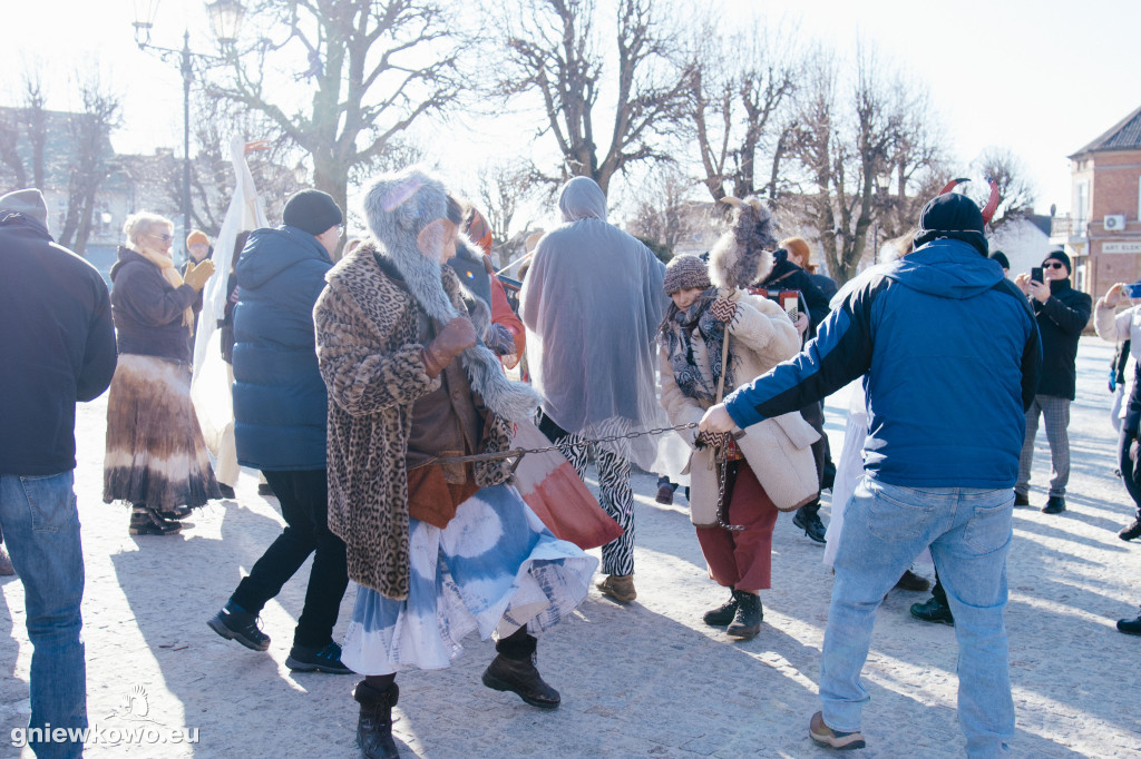 Koza opanowała Gniewkowo