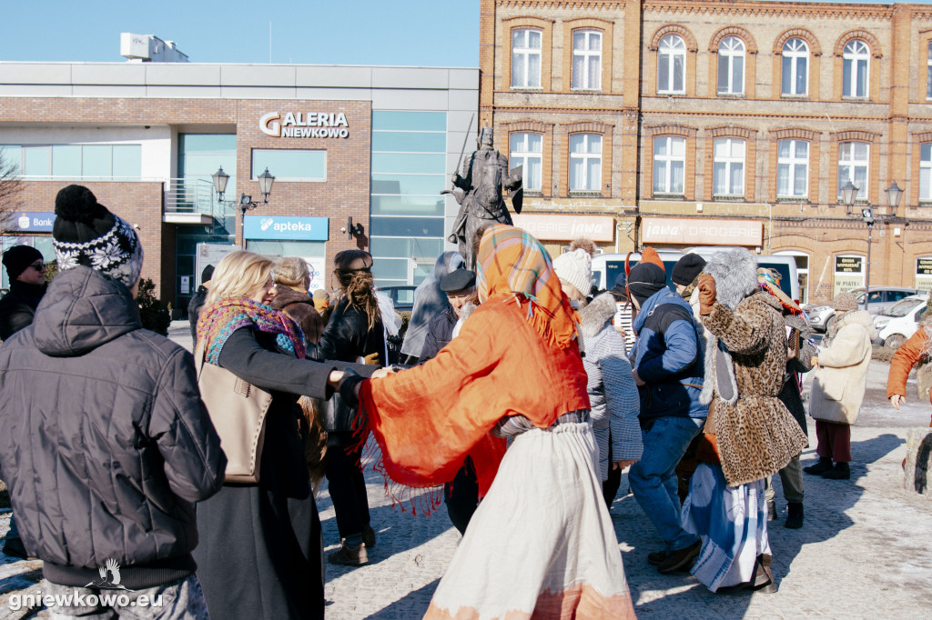 Koza opanowała Gniewkowo