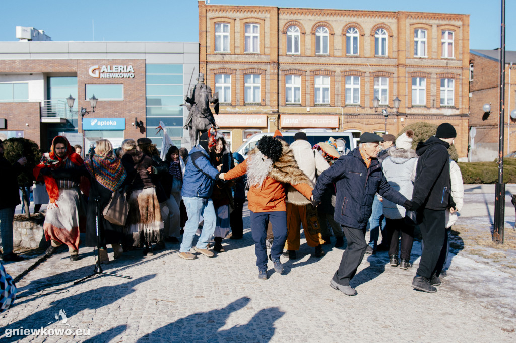 Koza opanowała Gniewkowo