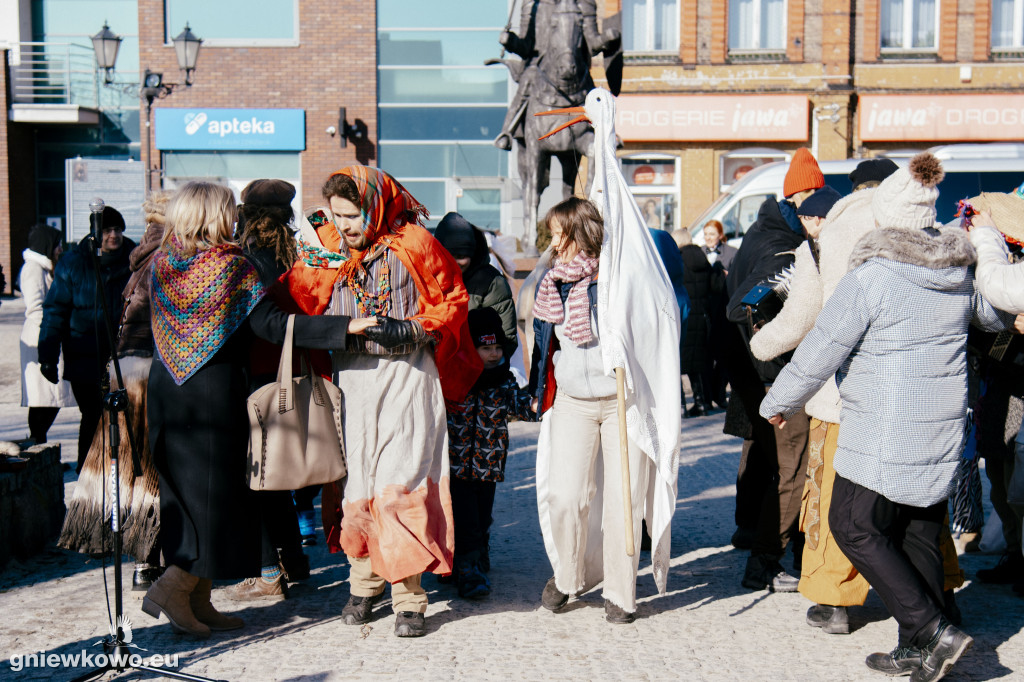 Koza opanowała Gniewkowo