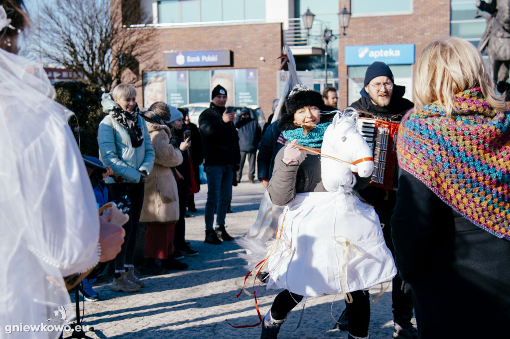 Koza opanowała Gniewkowo