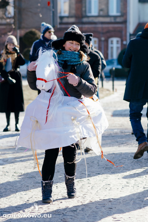 Koza opanowała Gniewkowo