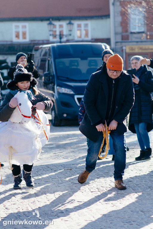 Koza opanowała Gniewkowo