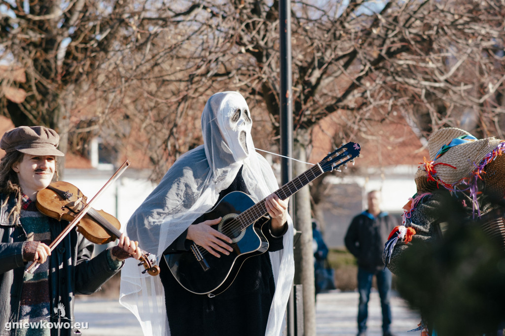 Koza opanowała Gniewkowo