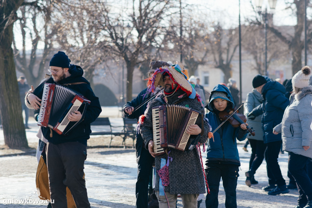 Koza opanowała Gniewkowo