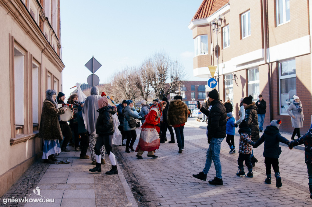 Koza opanowała Gniewkowo