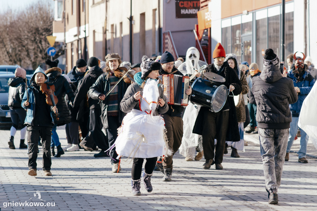 Koza opanowała Gniewkowo
