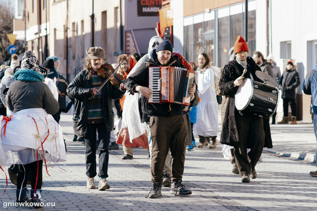 Koza opanowała Gniewkowo