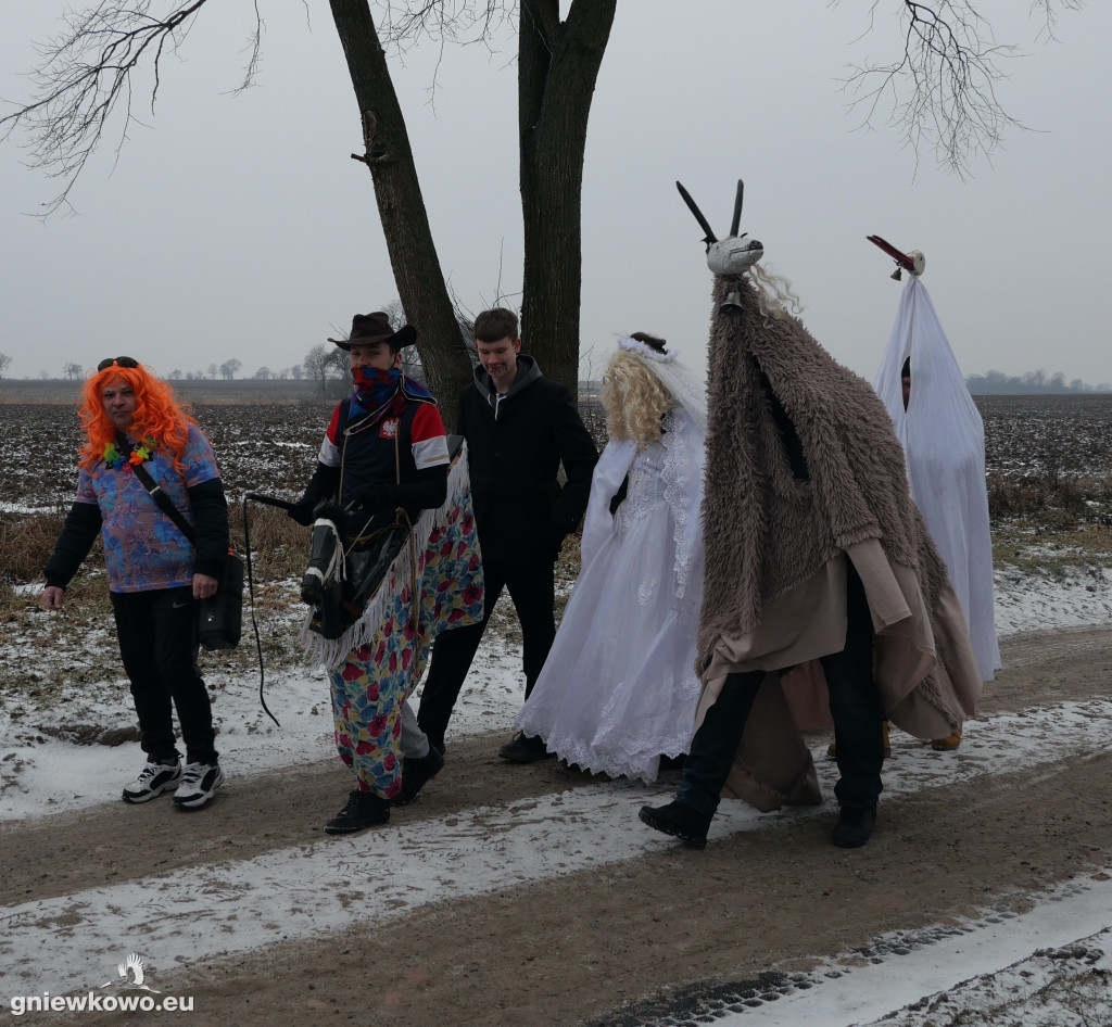 Podkoziołek w Lipiu 2026