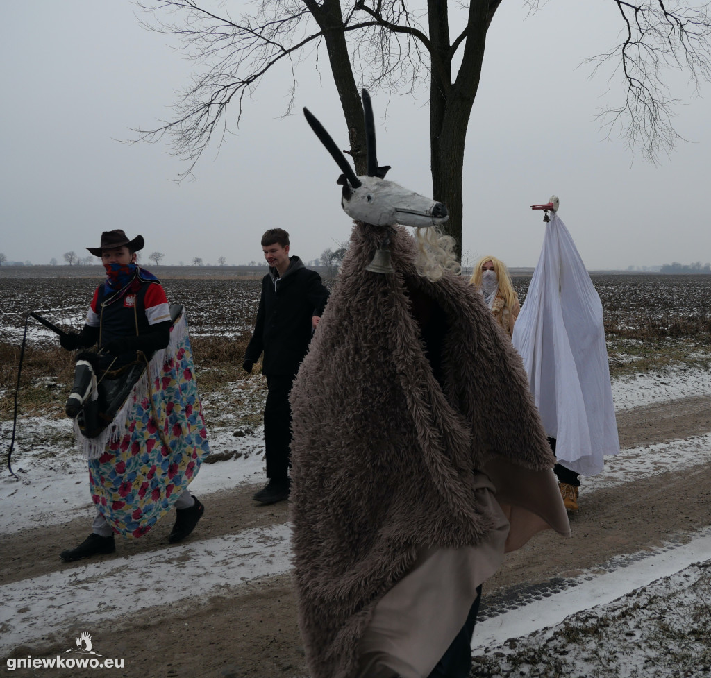 Podkoziołek w Lipiu 2026