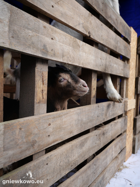 Jarmark Wielkanocny 29.3.2026