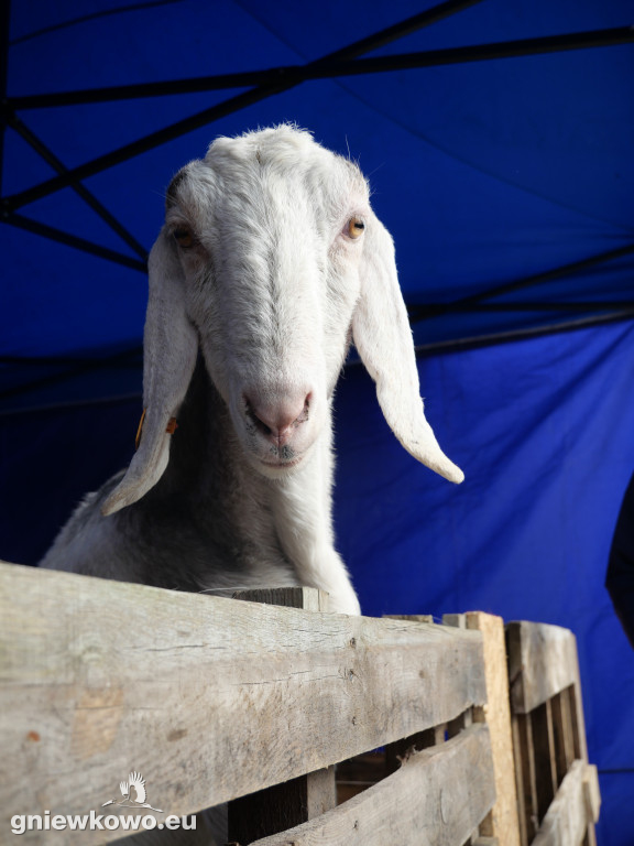 Jarmark Wielkanocny 29.3.2026