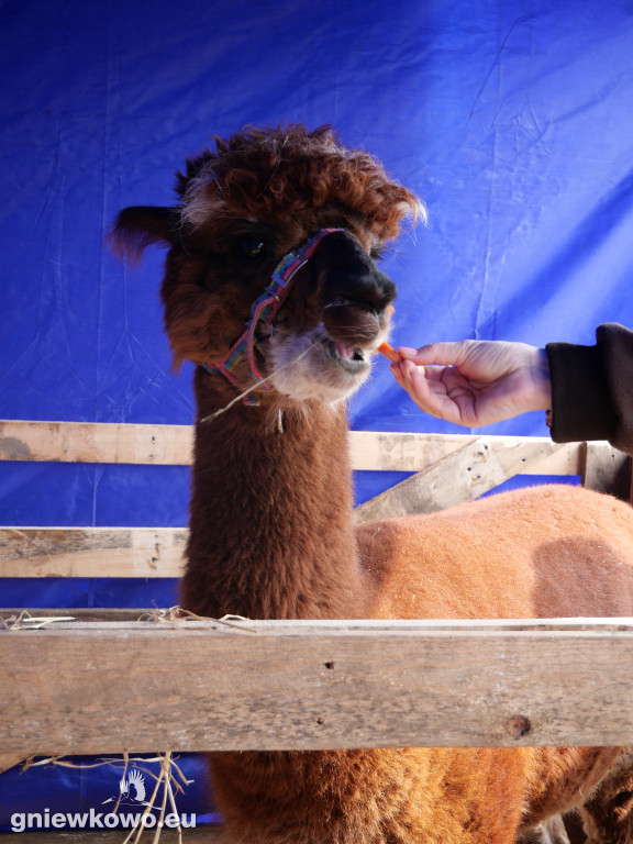 Jarmark Wielkanocny 29.3.2026