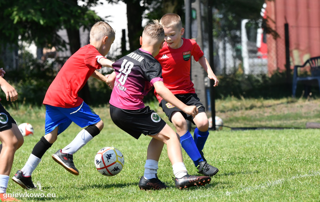 Turnieje orlika i żaka na stadionie Unii Gniewkowo