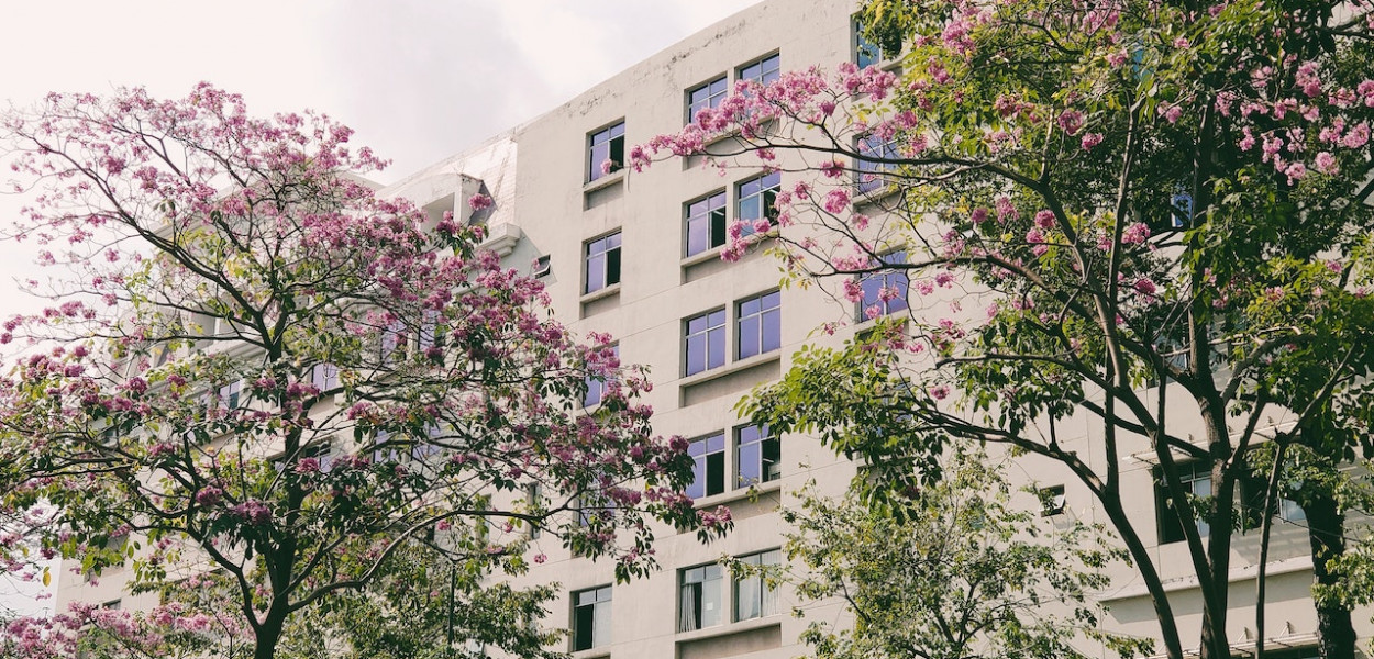 Jak sprawdzić, czy masz zdolność czynszową?