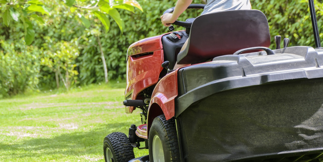 Jakie narzędzia ogrodnicze warto kupić?