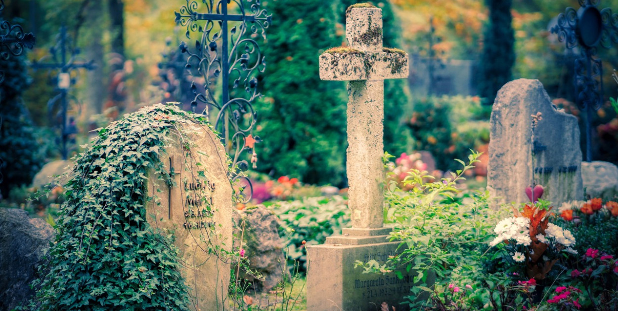 fot. pixabay.com