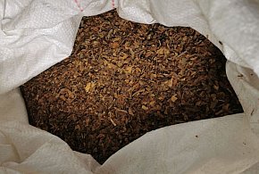 Policjanci przejęli ponad trzysta kilogramów tytoniu bez akcyzy-11219