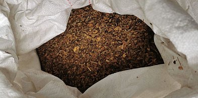 Policjanci przejęli ponad trzysta kilogramów tytoniu be-11219