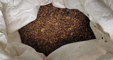 Policjanci przejęli ponad trzysta kilogramów tytoniu bez akcyzy-11219