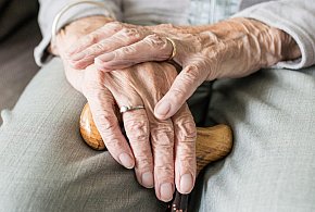Nowa stawka najniższej emerytury. Rząd ujawnił kwotę-14678