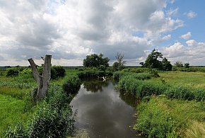 Co dalej z nowym parkiem narodowym? Minister klimatu zdradza plan po wecie-15744