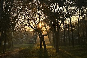 Nadchodzi najkrótszy dzień w 2025 roku. Sprawdź, kiedy przypadnie-15981