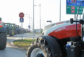 Rolnicy zapowiadają protest w całym kraju. Skala może zaskoczyć-16018