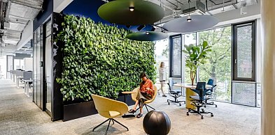 Kiedy ogród wertykalny ma sens – sprawdź, czy to rozwiązanie pasuje