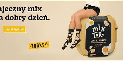 Producent kolorowych i śmiesznych skarpetek