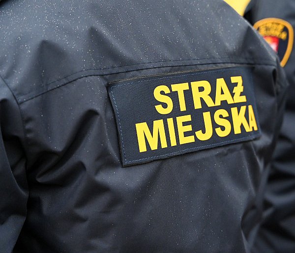 Zapuka strażnik, zapłacisz karę. Ruszyły kontrole w całej Polsce-15531