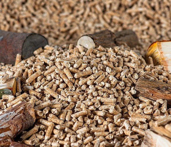 Drożeje popularny opał. Miliony Polaków dostaną po kieszeni tej zimy-15670