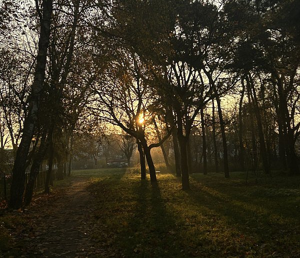Nadchodzi najkrótszy dzień w 2025 roku. Sprawdź, kiedy przypadnie-15981